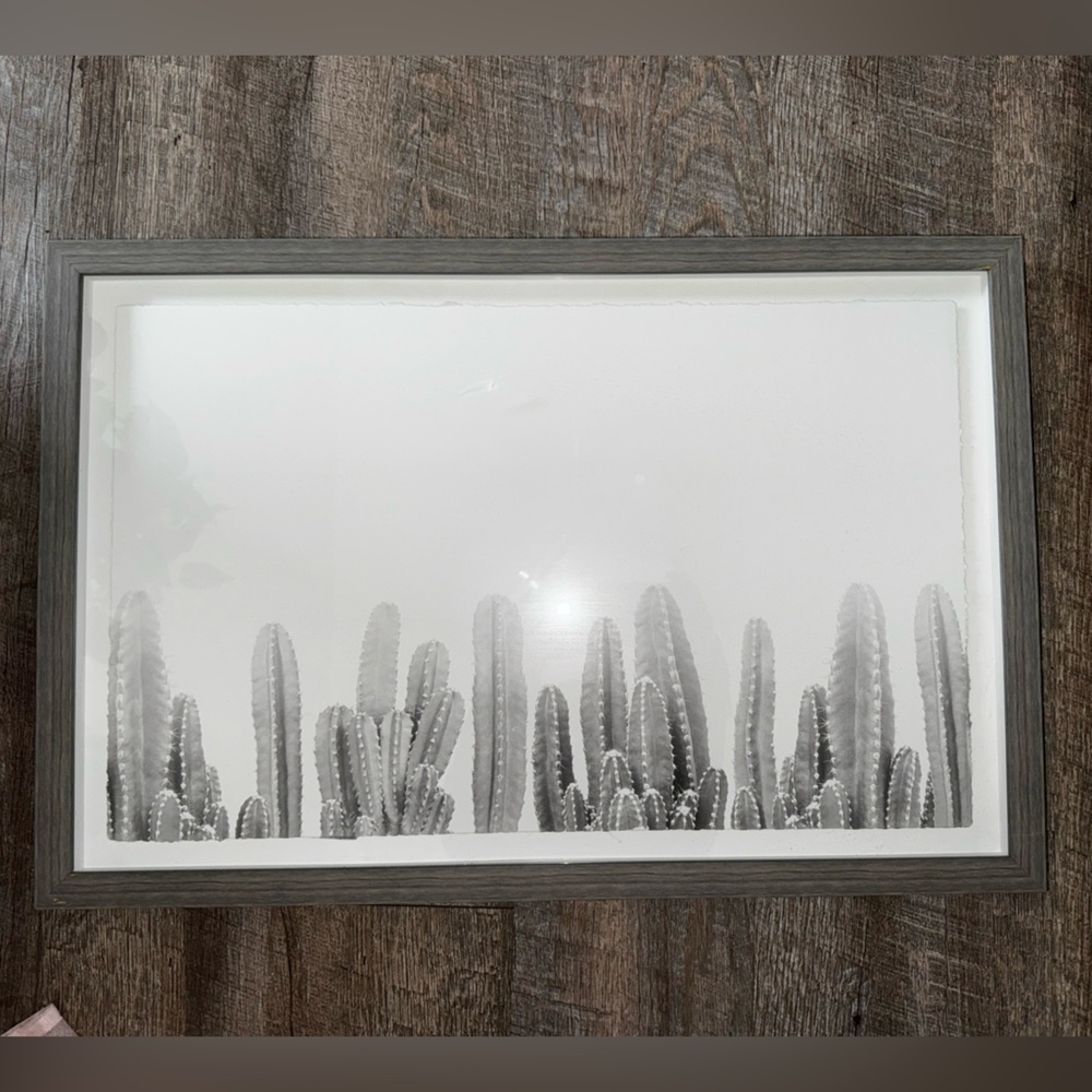 Gray Cactus Wall Art decor